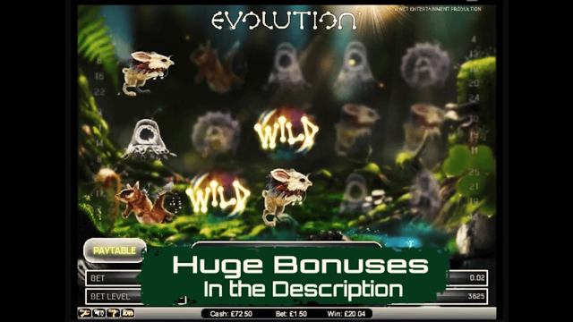 Evolution